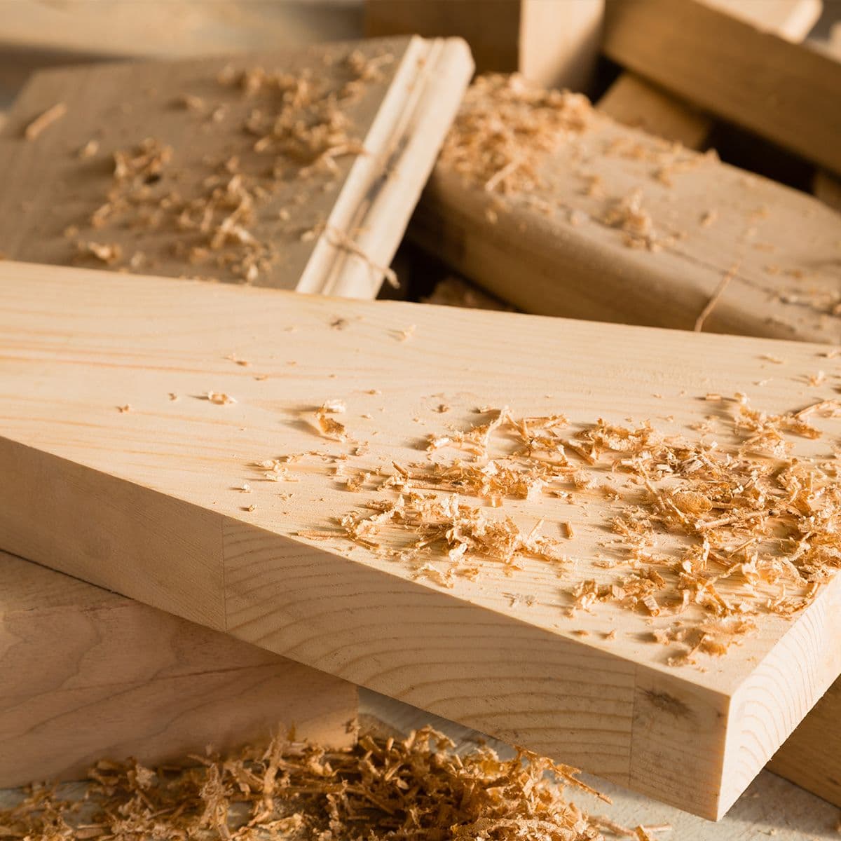 Holzbau